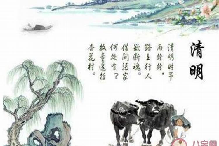 生辰看一生有几个孩子 免费算一下自己的子女缘