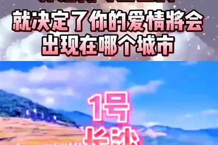 2025属猪人每月运势及运程如何