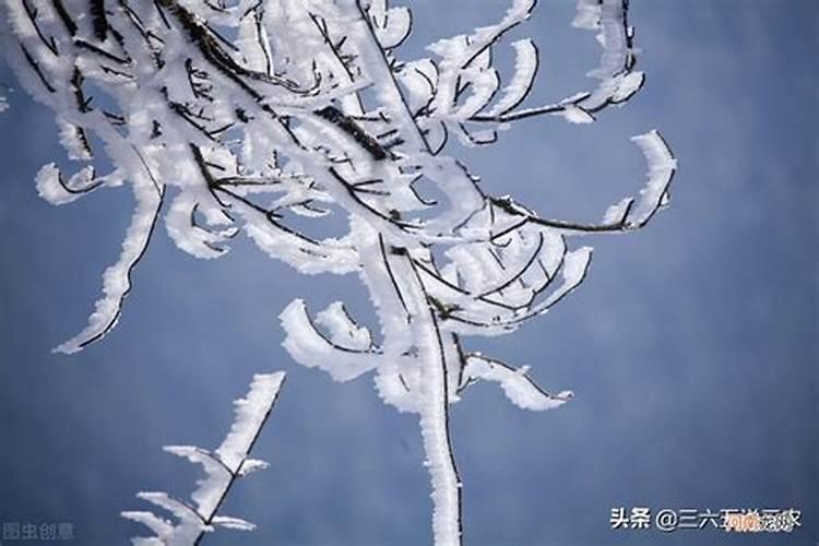 小年下雪有什么预兆？