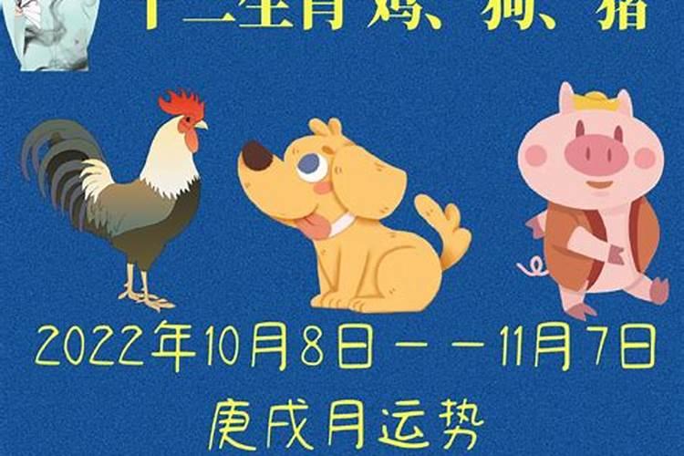 女生本命年红绳手链戴哪个手