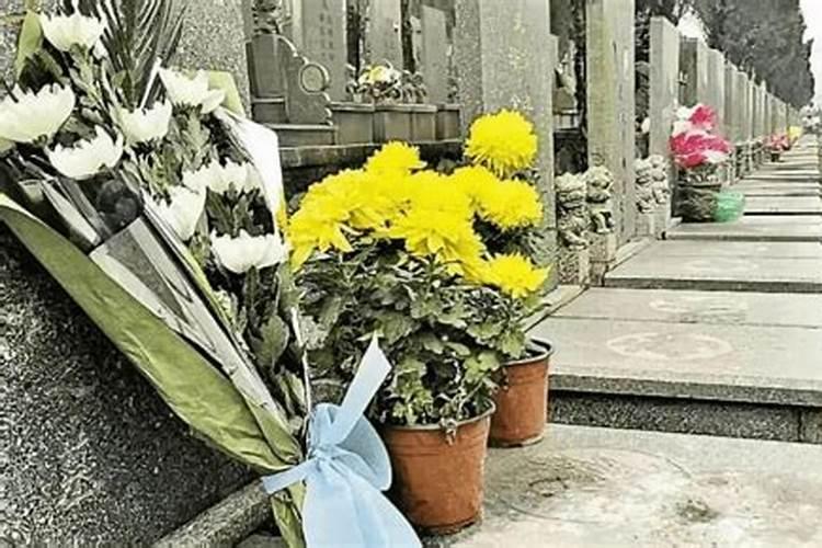 本命年运气差怎么办些化解办法