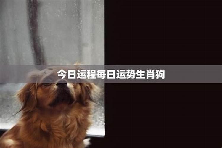 1980年属猴男2025年运势及运程