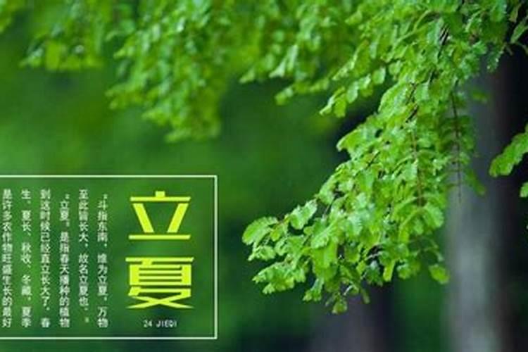 冬至前落葬,请问冬至正日还要去扫墓吗？