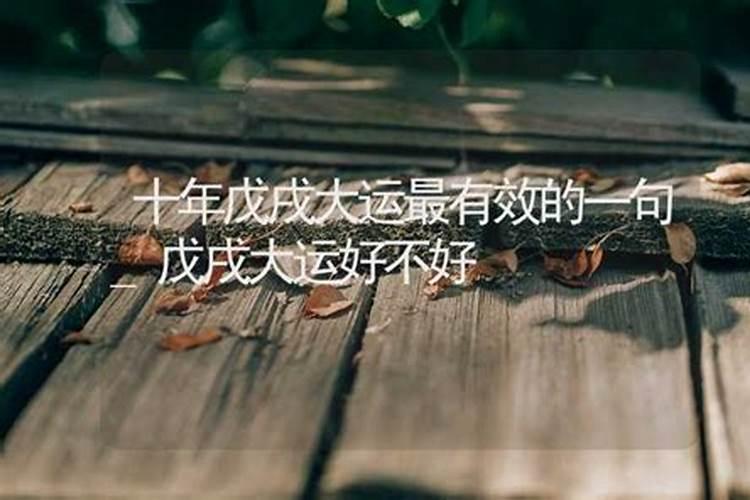 犯太岁对照表