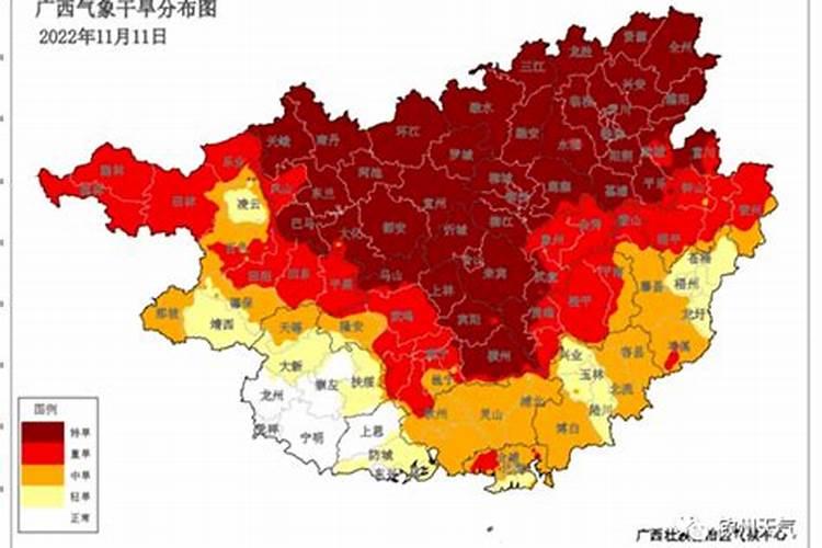 冬至吃粽子吗？