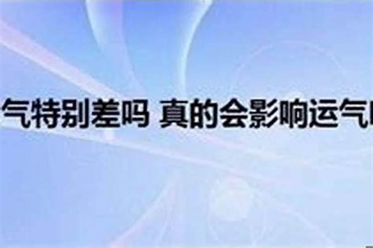 辛卯年是什么兔