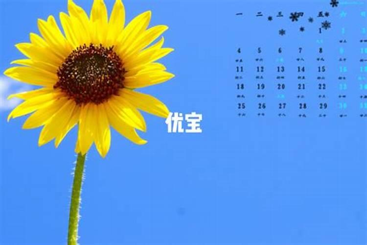 2025年属羊人的每月运势1979年出生