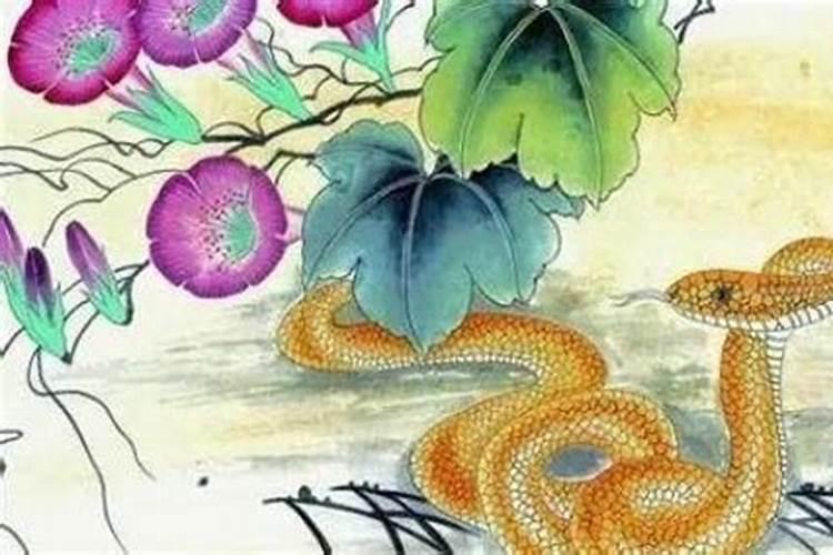 1965年属蛇人2025年运势及运程