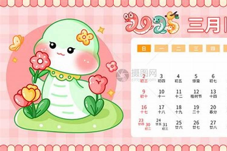 77蛇女2025每月运势