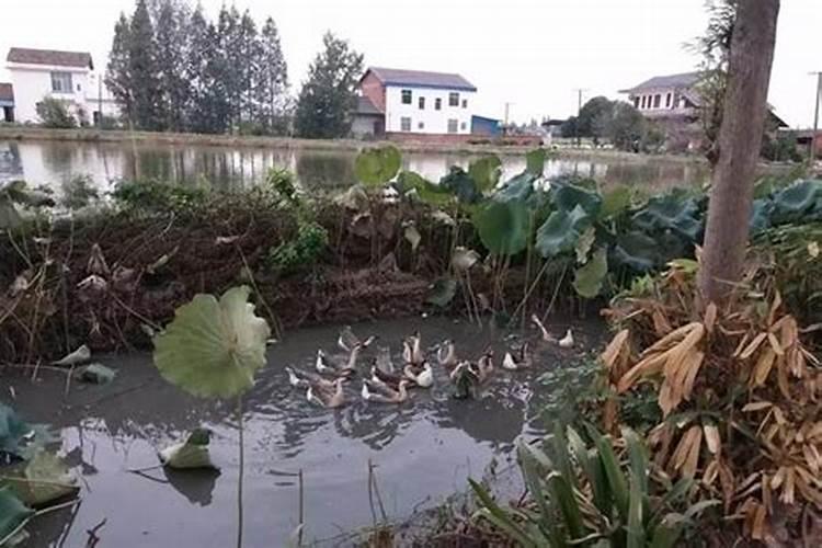 道家 开财库 好不好,道家的开财库,开财库法事？