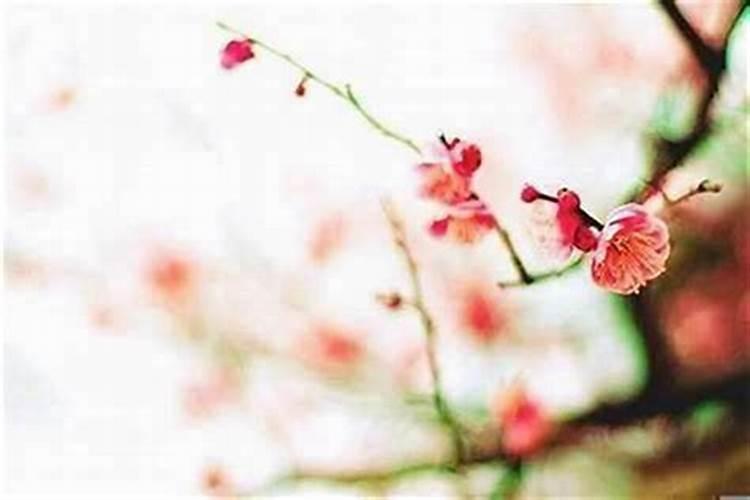 本命年遇到桃花劫怎么办 红色的纸有奇效