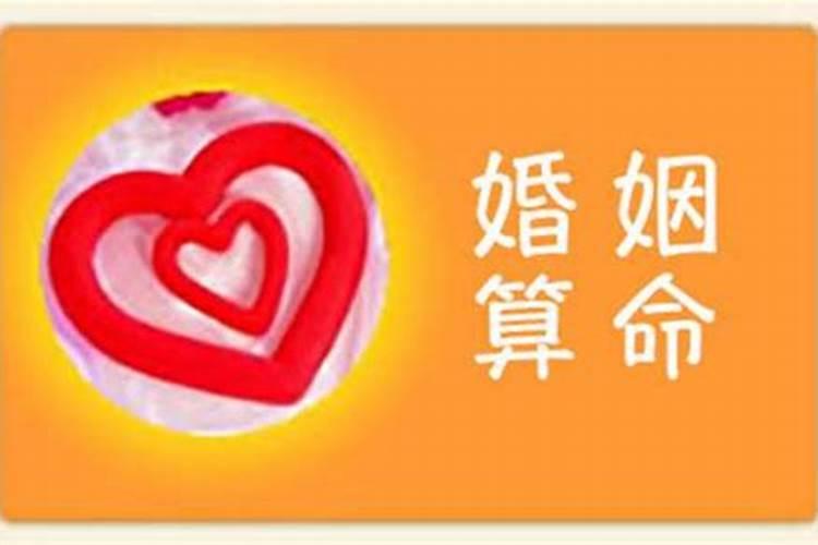 五花八门必得多四十九个数中合打一生肖