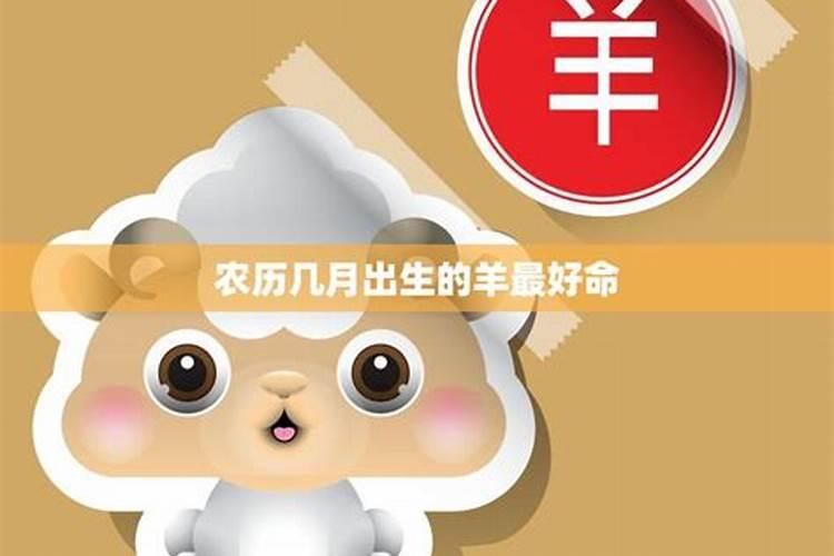 属羊四月出生的人命运