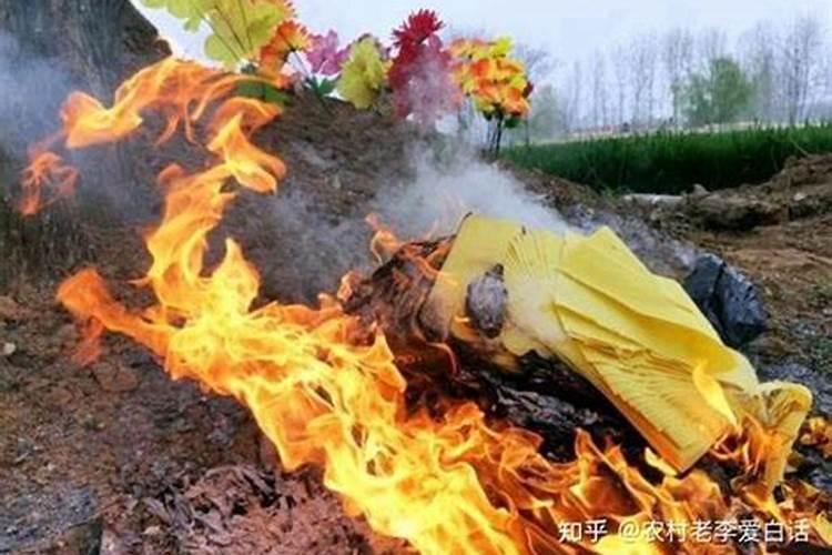 ...来清明节祭奠亲友,一些地方从烧冥钞、纸人、纸马,发展到烧纸百度知 ...