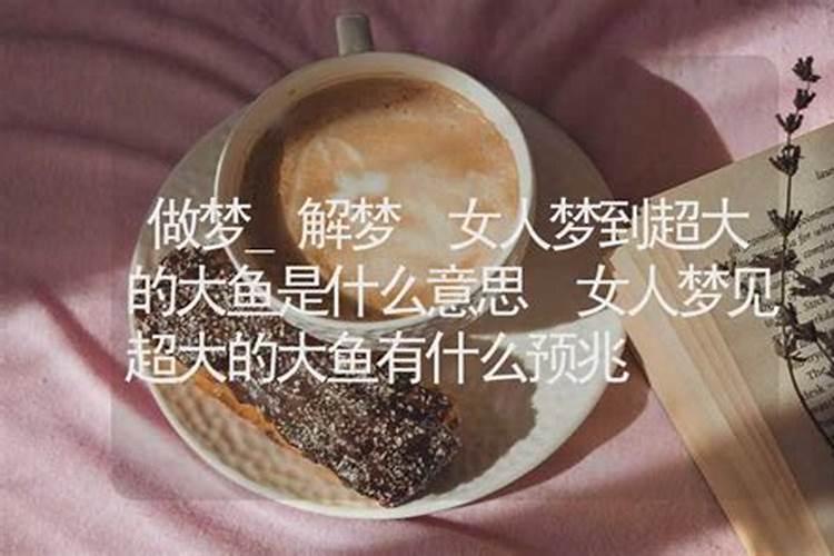 属虎的感情和婚姻,为什么属虎人一生的婚姻运比较差