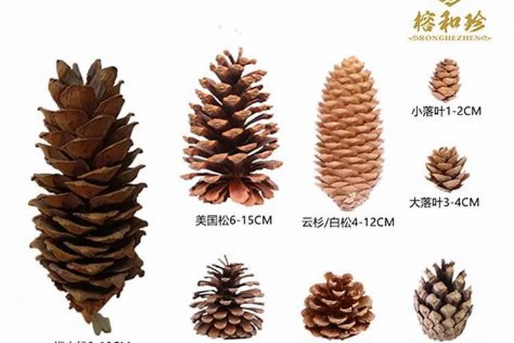 梦见马桶堵了又通开了