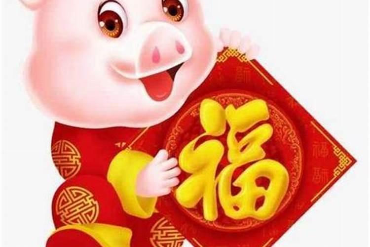 属猪的带什么最旺财