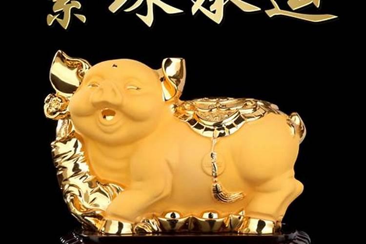 属猪火命什么招财最旺运
