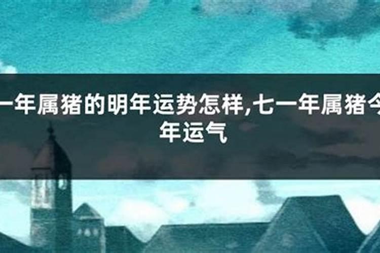 2025鼠财运怎么样 2025年鼠的财运如何