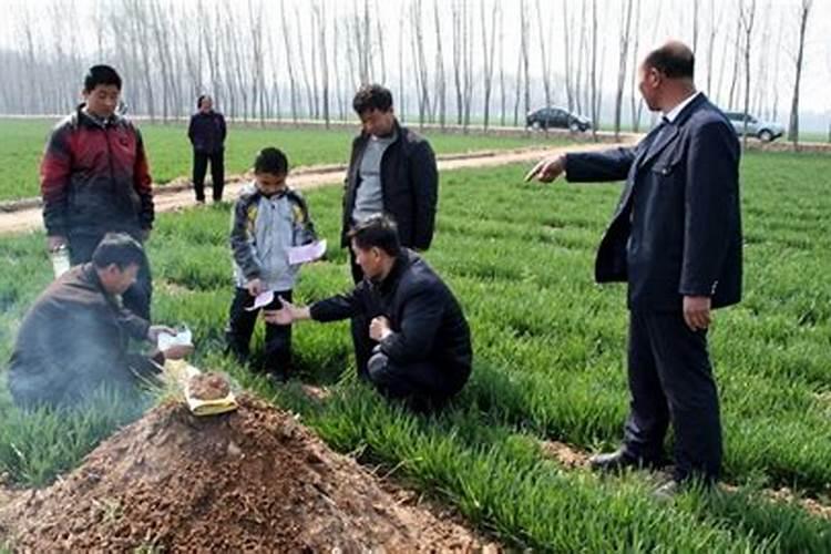 算命婚姻未合是什么意思