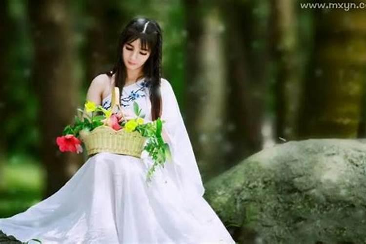 女羊男鸡结婚好不好 属羊和属鸡的婚姻相配吗