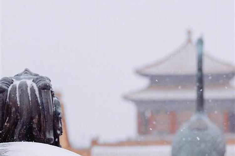 56年属猴的今年怎么样 56年属猴人2024年运势详解