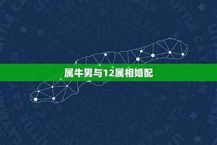 属羊三月出生命运如何