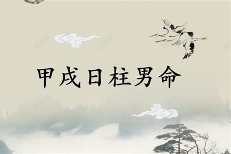 79年属羊男在2025年的运势和财运