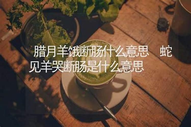 大运怎么排的,八字排大运起岁数正确方法