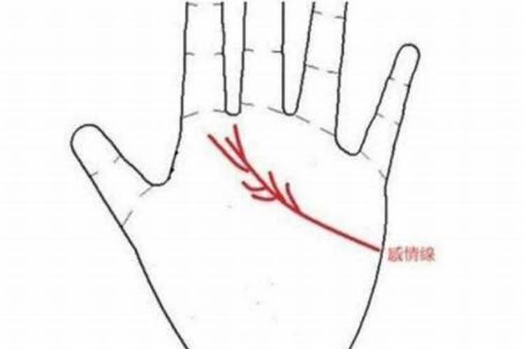 感情线分叉怎么样？