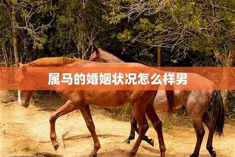 78年属马后半生婚姻属马人终身婚姻运？