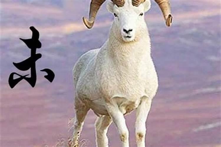 生肖羊遇兔年好不好 事业顺利家庭调和？