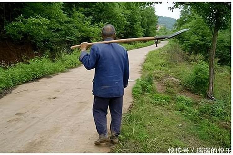 输入出生年月查生辰八字阴阳,日干支查询表