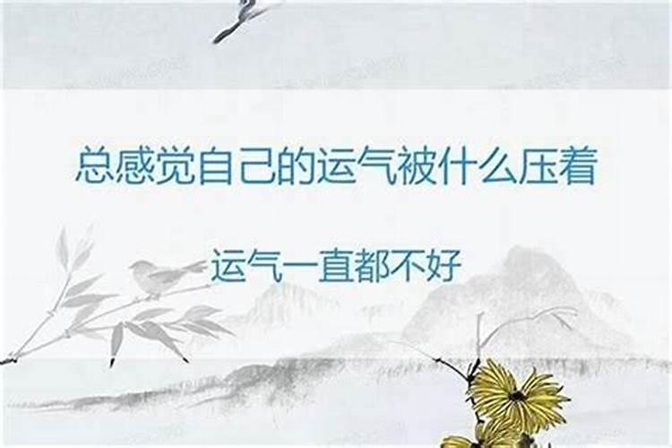 没有姻缘 一辈子无婚的八字？