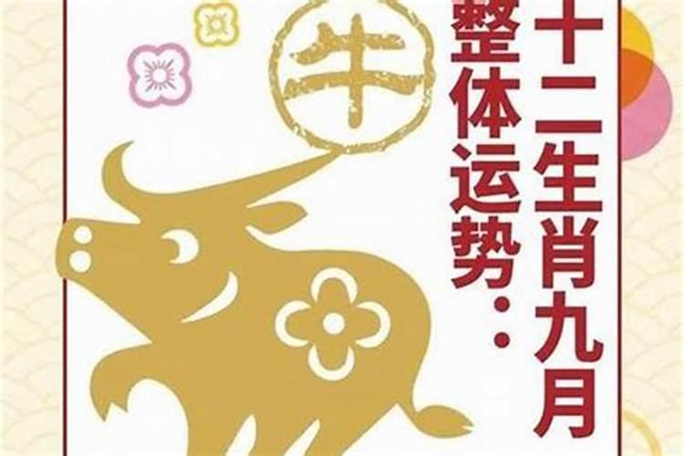 有农历67年7月15日早辰时出生五行是什么？命运如何