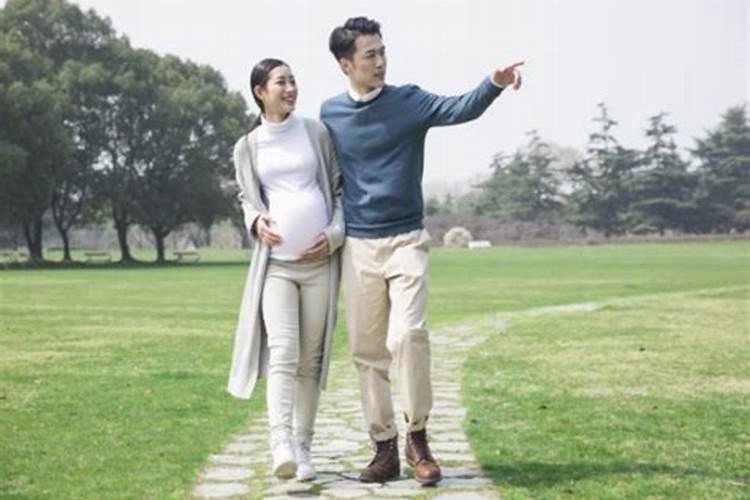 纳音什么意思