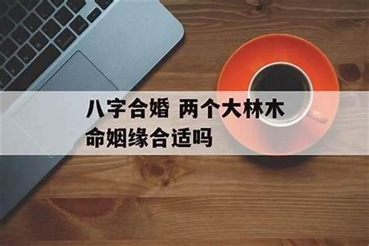 一九七二年鼠人今年逐月运势,1972年属鼠未来5年运势