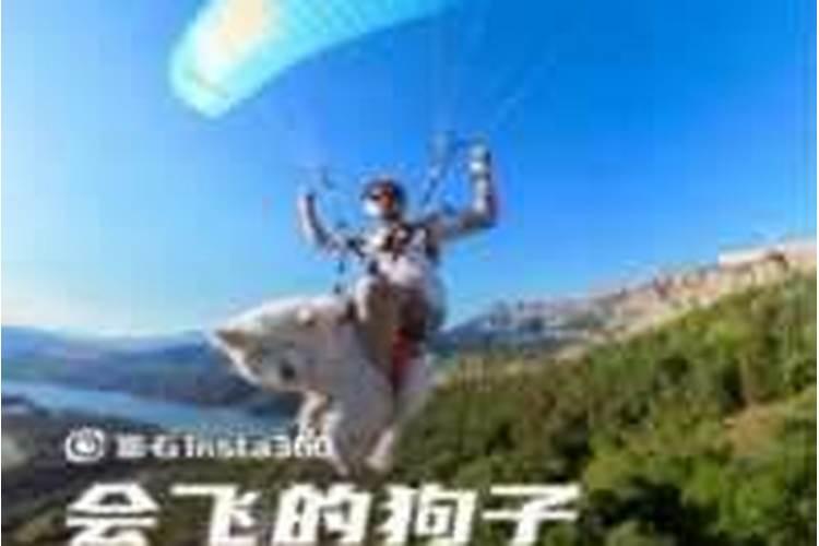 为什么算命的看八字说的都不太一样？？