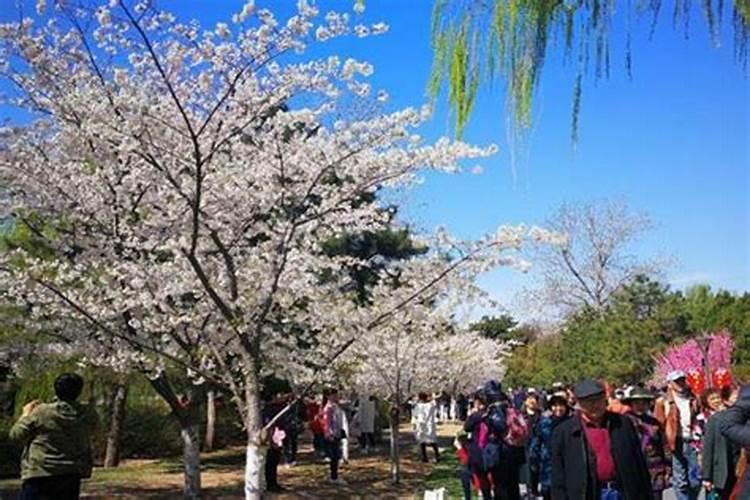 清明节去北京哪里玩比较好