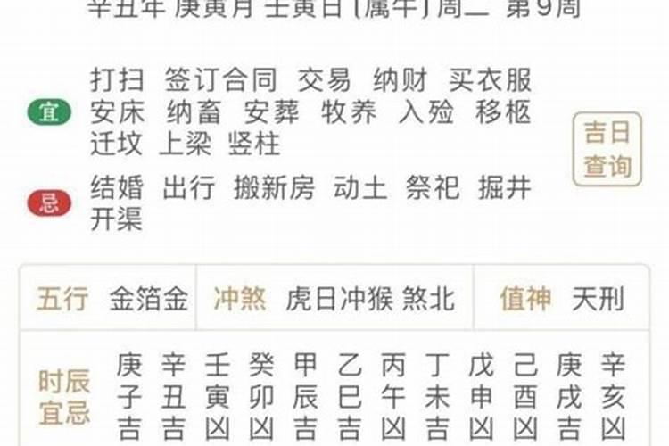 端午节广州车陂龙舟赛最佳观赏地点在哪里