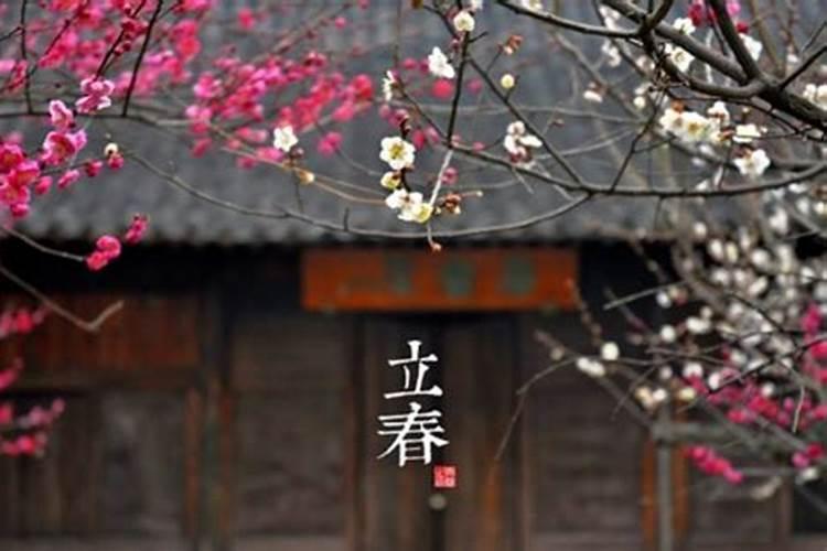 2025蛇年本命年红绳戴哪个手