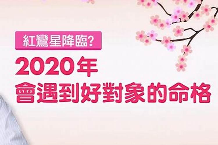 2025年鼠年运势及运程1984
