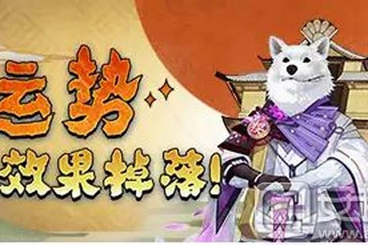 2025猪犯太岁佩戴什么