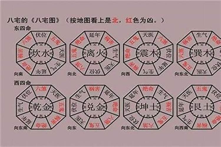 金灵圣母的真身是什么