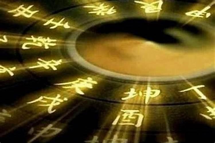 合八字说女的带虾是什么意思