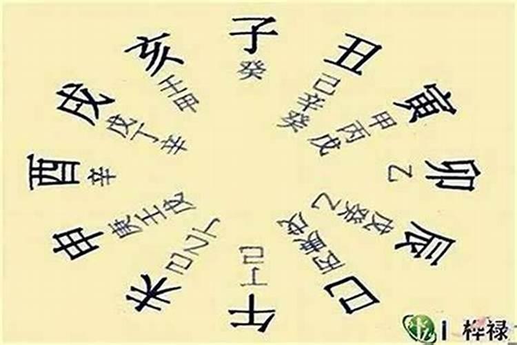 属鼠男人和属猪女人相配吗