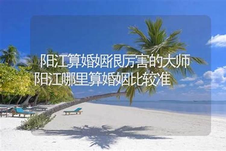 湛江民政局婚姻登记处有哪些