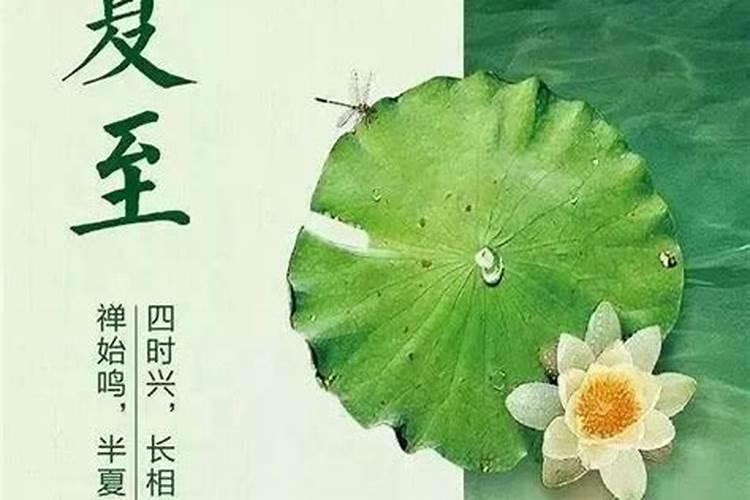 夏至未至。什么意思？