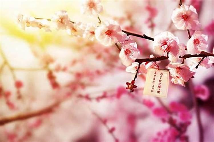 2025年元宵节是法定假日吗