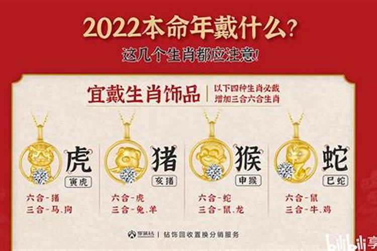 2025本命年蛇年女戴什么